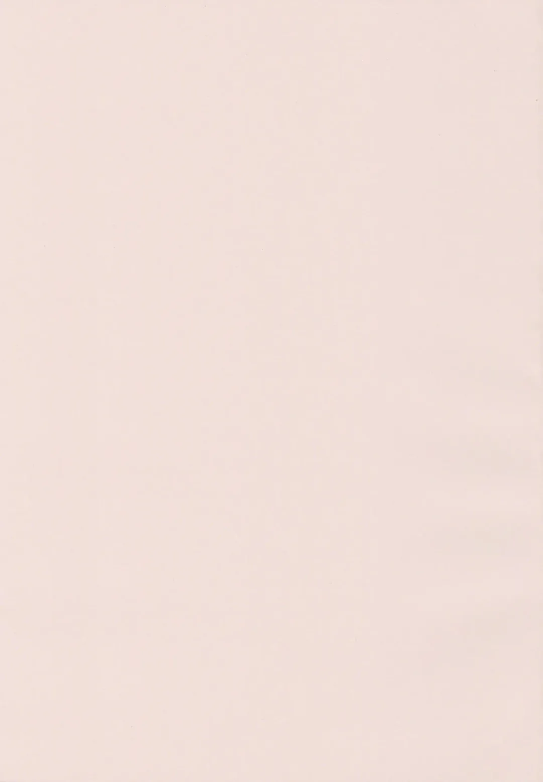 [Takeda Hiromitsu] Sister Breeder + Toranoana、Melonbooks Gentei Tokuten Fhentai - Page 236