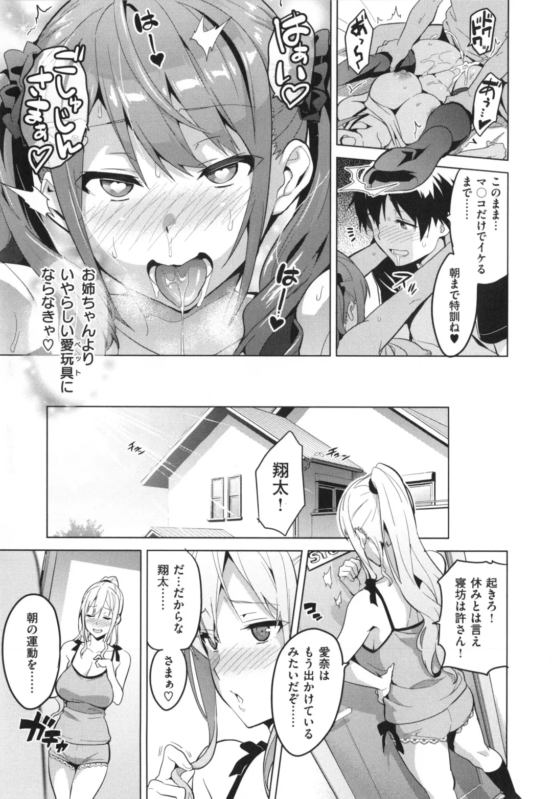 [Takeda Hiromitsu] Sister Breeder + Toranoana、Melonbooks Gentei Tokuten Fhentai - Page 62