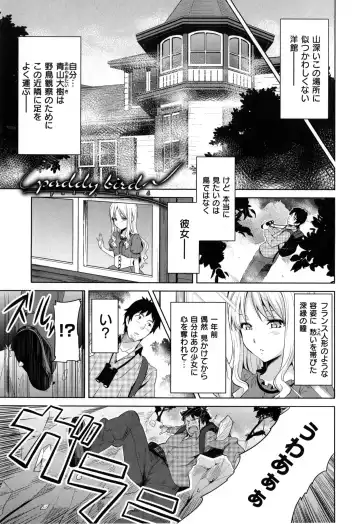 [Takeda Hiromitsu] Sister Breeder + Toranoana、Melonbooks Gentei Tokuten Fhentai - Page 92