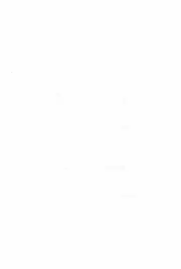 [Umino Haine] Kojika no Kokan Fhentai - Page 15