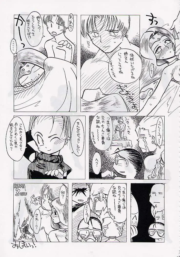 DRAGONQUEST nirvana Fhentai - Page 22