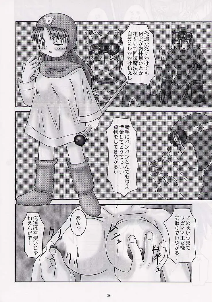 DRAGONQUEST nirvana Fhentai - Page 27