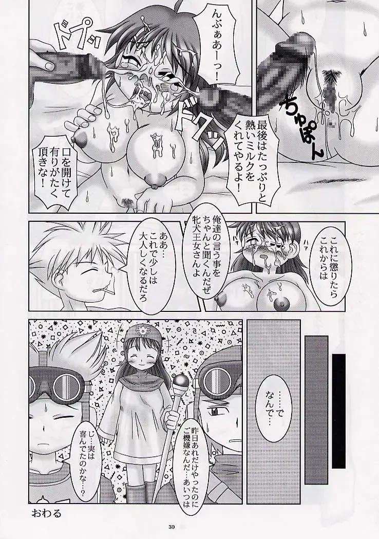 DRAGONQUEST nirvana Fhentai - Page 29