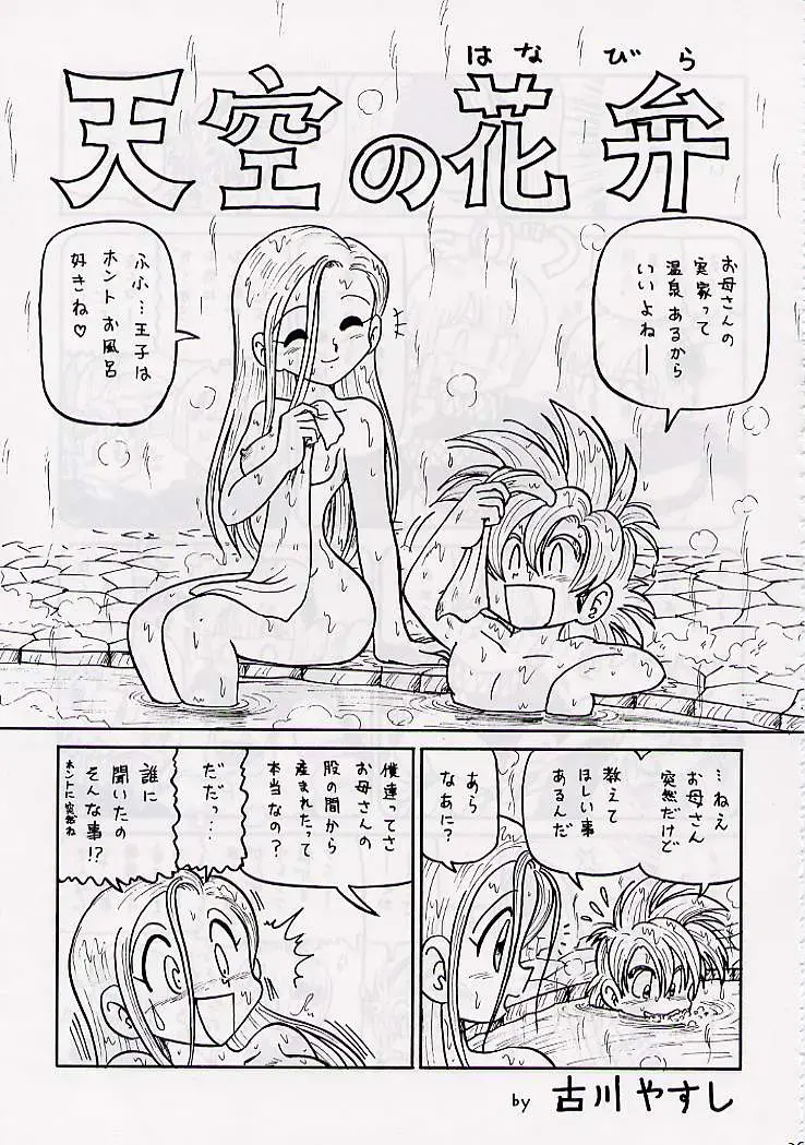 DRAGONQUEST nirvana Fhentai - Page 38