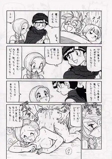 DRAGONQUEST nirvana Fhentai - Page 43