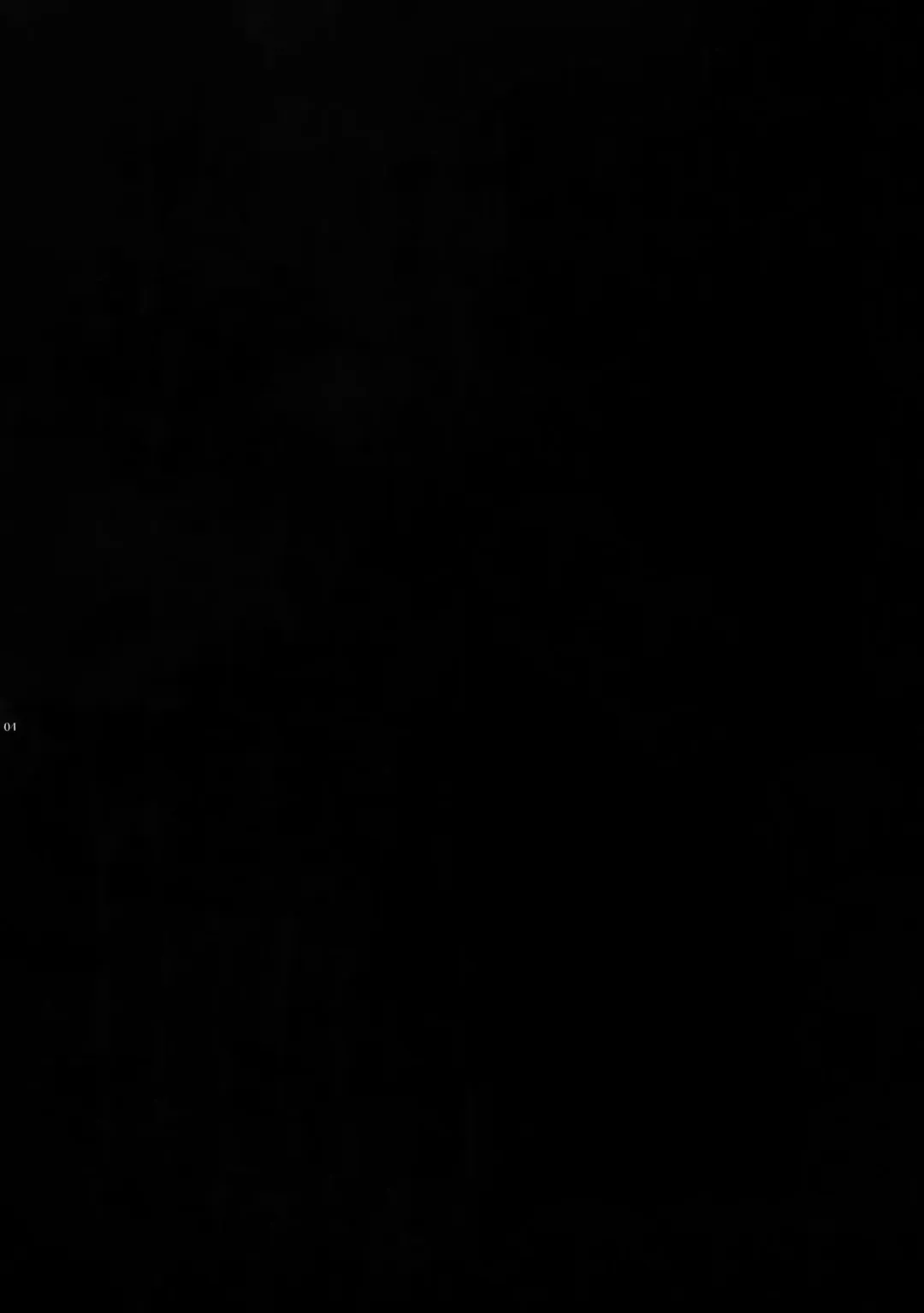 [Ichitaka] Kin-san to Hime Hajime Fhentai - Page 3