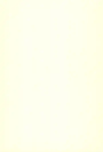 [Shiramayumi] Magejun 9 Fhentai - Page 19