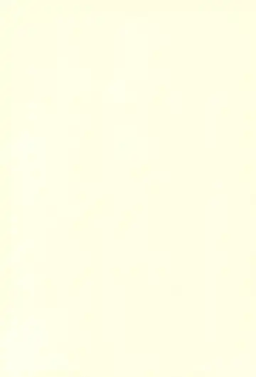 [Shiramayumi] Magejun 9 Fhentai - Page 2