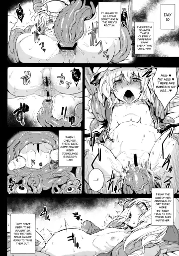 [Sanwaribiki] Gensou Enkou -Flandre- Shoku Fhentai - Page 12