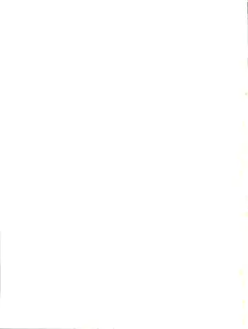 [Nanjou Asuka] KITSCH 21th Issue Fhentai - Page 36