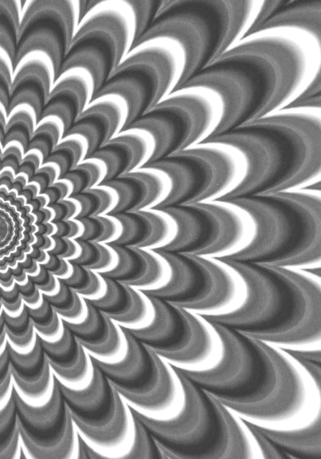 [Inochi Wazuka] Nyotaika Trans Fhentai - Page 68