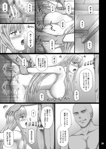 [Aoi Mikku] Seido no Chigiri VALKYRIA SLAVE Fhentai - Page 30
