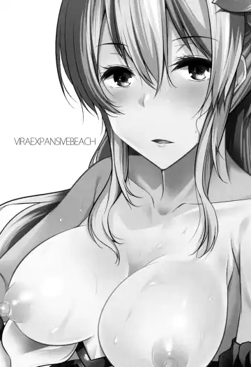 [Yoshida] VIRAEXPANSIVEBEACH Fhentai - Page 3