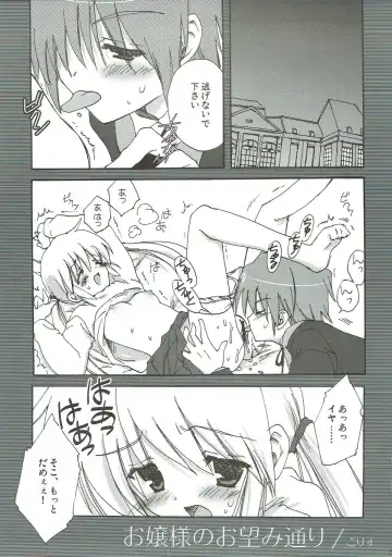 [Korisu] Ojou-sama no Onozomi Doori Fhentai - Page 4