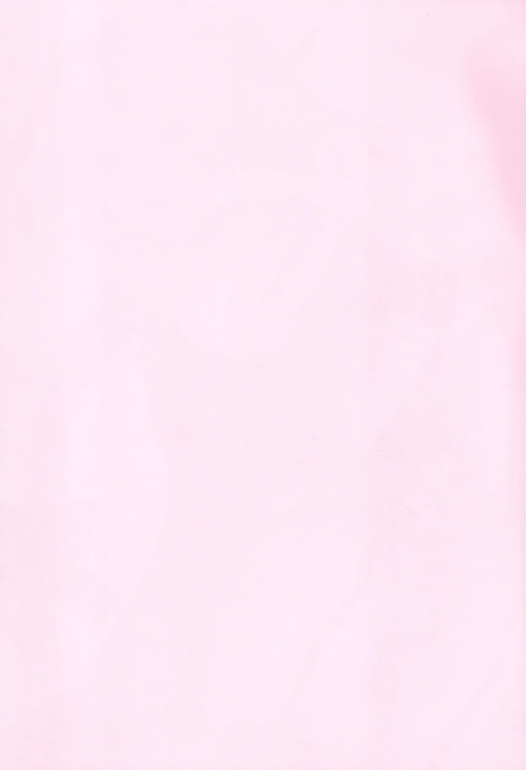 [Nyu] Risei Jouhatsu Astolfo Fhentai - Page 3