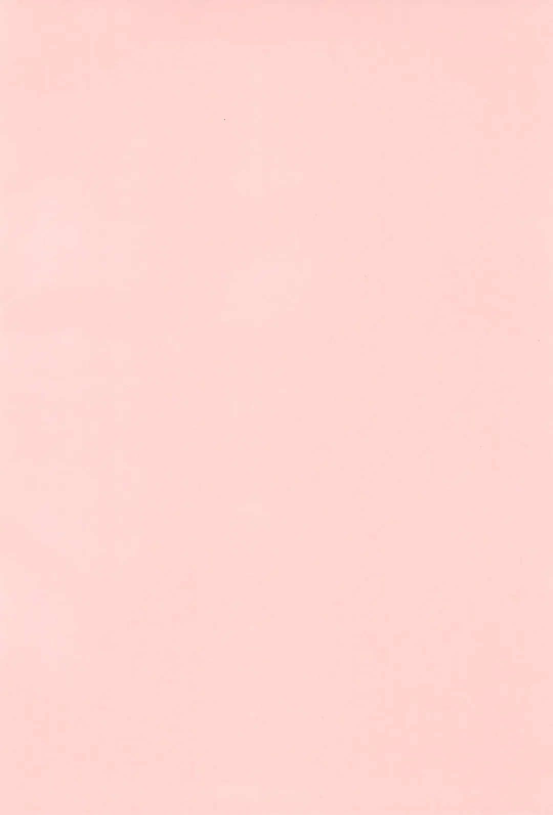 [Chomes] Tsubomi no Ana Fhentai - Page 4