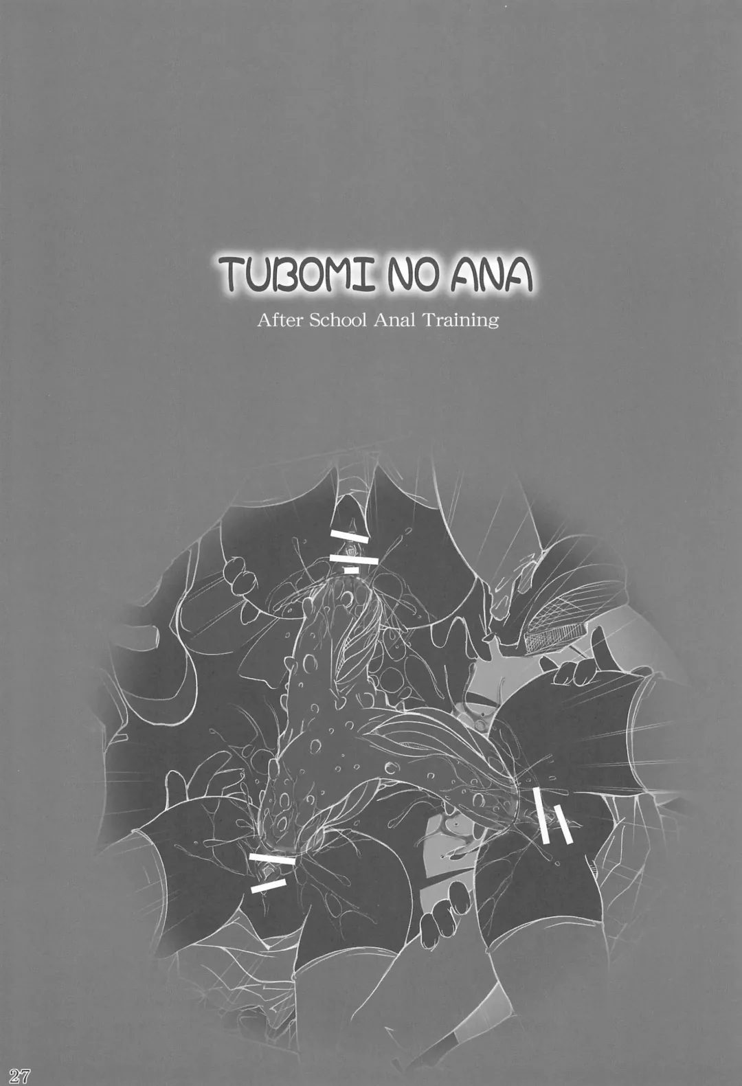 [Chomes] Tsubomi no Ana 3 Fhentai - Page 27