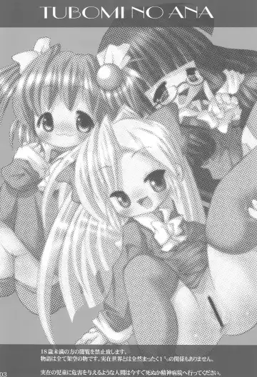 [Chomes] Tsubomi no Ana 3 Fhentai - Page 3