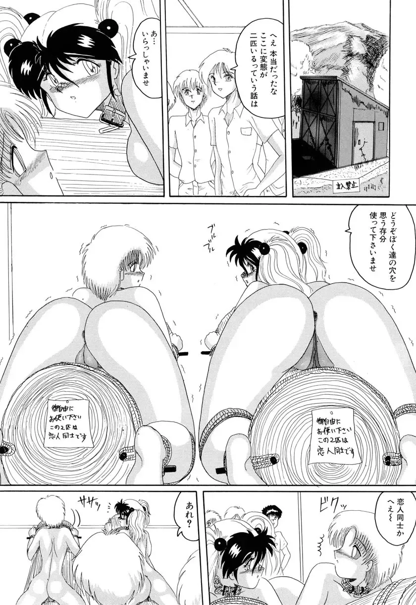 [Miyuma Subaru] MASOCHIST Fhentai - Page 157