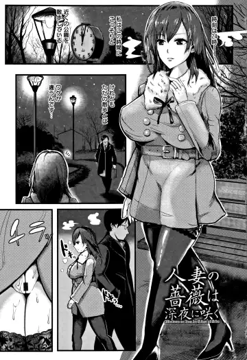 [Peter Mitsuru] MIDARA DUMA Fhentai - Page 6