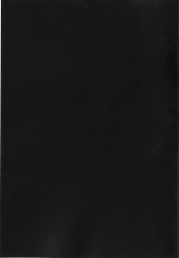 [Rabbi] Crossbell no Senka Fhentai - Page 53