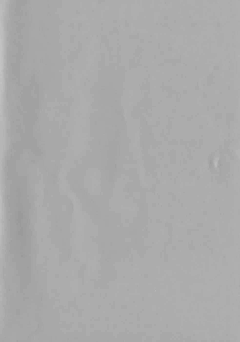 [Faith] EROGURO Fhentai - Page 5