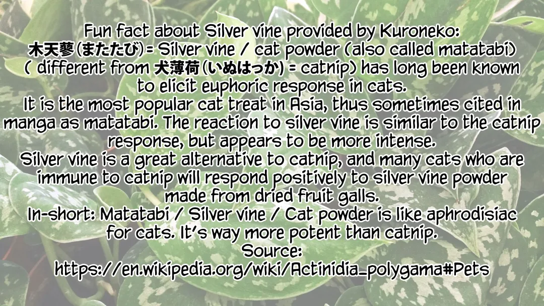 [Suzuhane Suzu] Boy Meets Nyaa God | Boy Meets Cat Goddess Ch. 1-4 Fhentai - Page 37