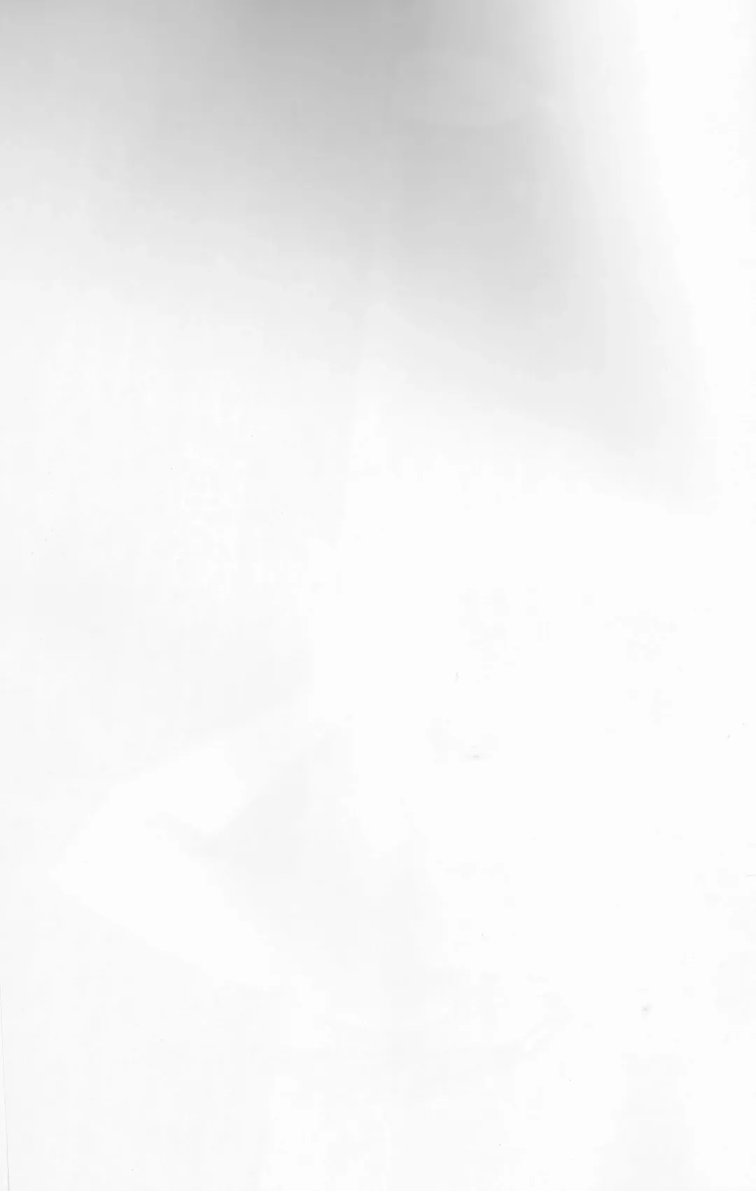 [Ameno Ringo] Ofuro de Hatsu XXX Fhentai - Page 4