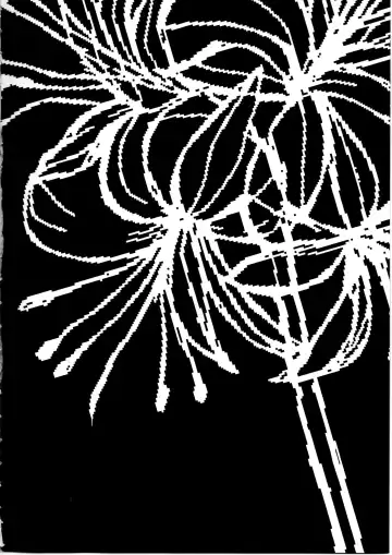 [Nada Haruka - Satetsu] Sassuga~ Eiki-sama wa Hanashi ga Wakaru! Fhentai - Page 4