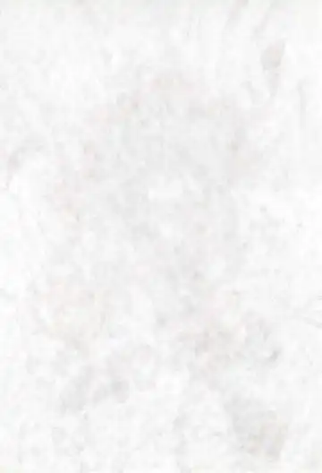 [Fujiwara Hisashi - Rocket Kyoudai] Ojamajo Paradise! Fhentai - Page 4