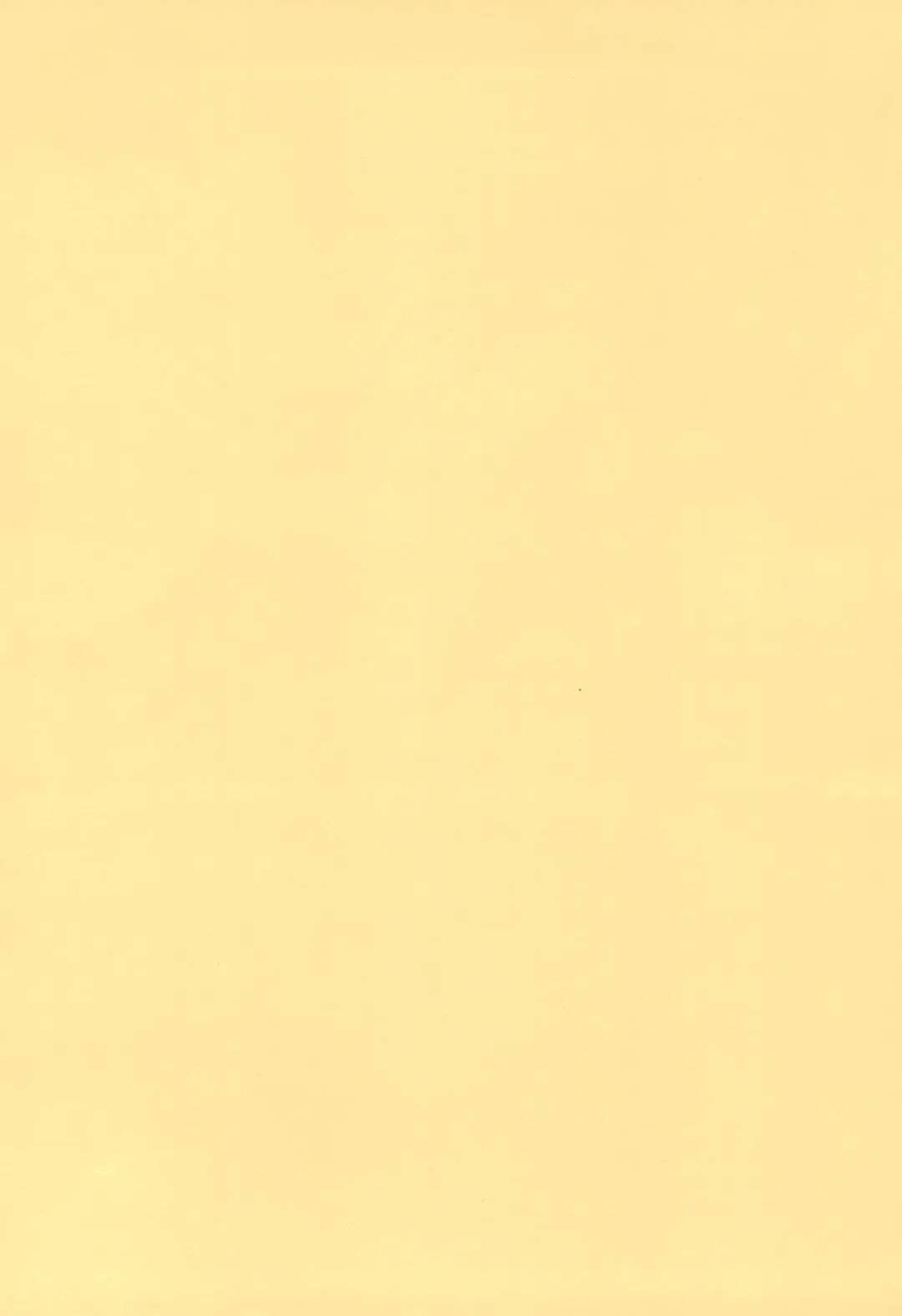 [Yamashita Woory] Vanpaiyan Fhentai - Page 2