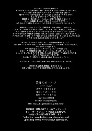 [Usagi Nagomu] Tasogare no Shou Elf Fhentai - Page 41