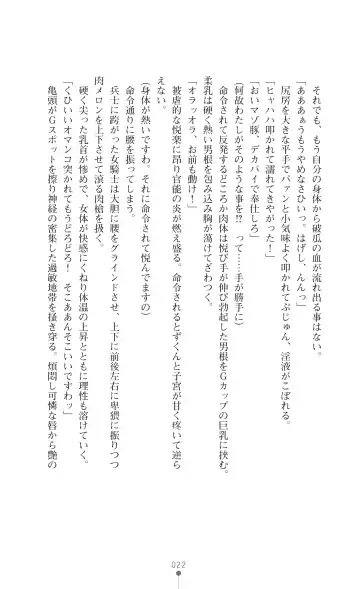 [Botan] Icerya Eiyuusenki 2 Fhentai - Page 22