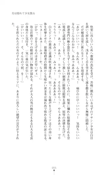 [Botan] Icerya Eiyuusenki 2 Fhentai - Page 55