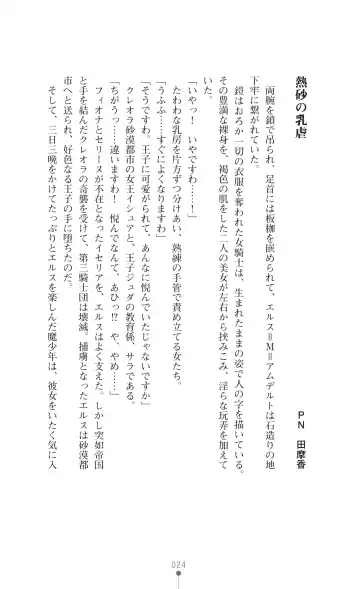 Icerya Eiyuusenki 3 Fhentai - Page 24