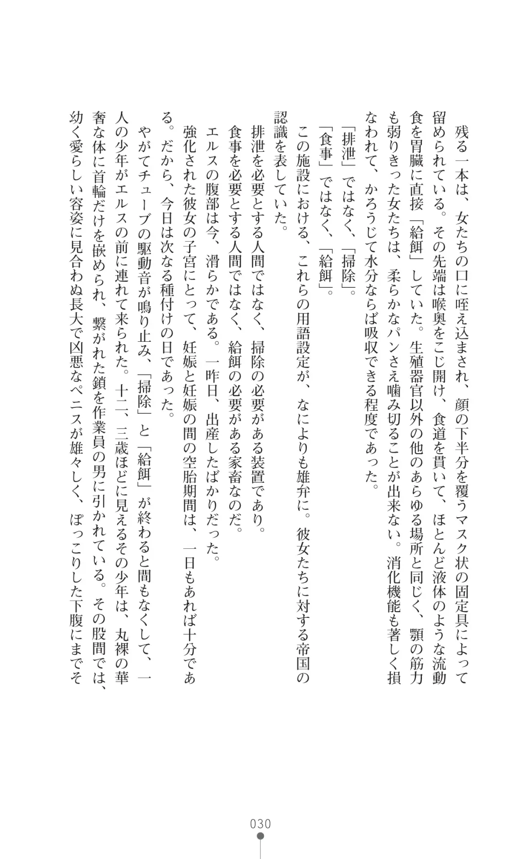 Icerya Eiyuusenki 4 Fhentai - Page 30