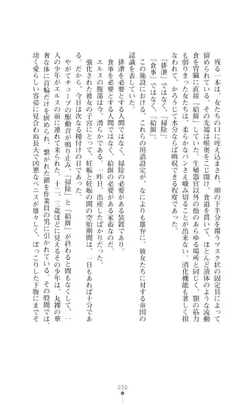 Icerya Eiyuusenki 4 Fhentai - Page 30