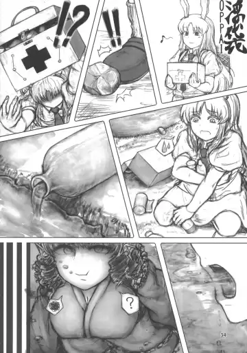 [Kamiya - Kouichi - Taku] Touhou Bounyuu Kobitan Fhentai - Page 33