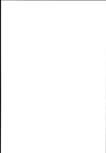 [Koza] Sanae-san no Ura Hounousai Fhentai - Page 4