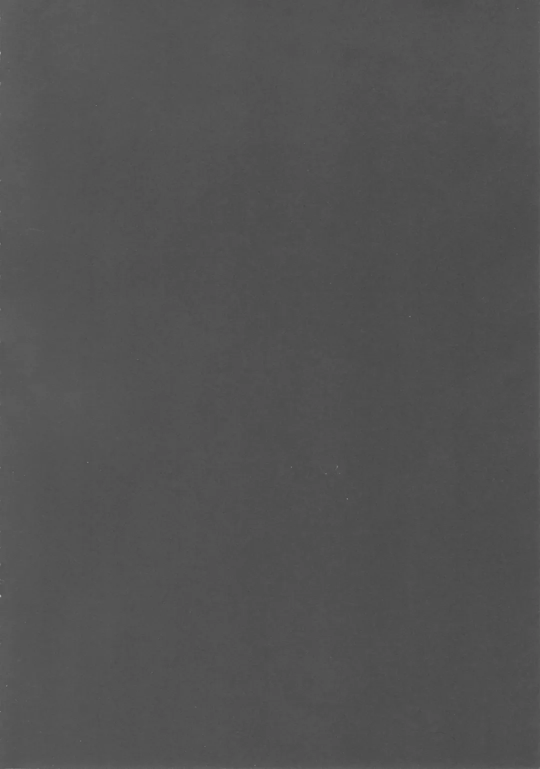 [Han] Aru Hi no Ogin Onee-chan Fhentai - Page 3