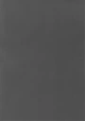 [Han] Aru Hi no Ogin Onee-chan Fhentai - Page 3