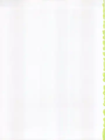 [Kousaka Jun] Kotori Donburi Fhentai - Page 39