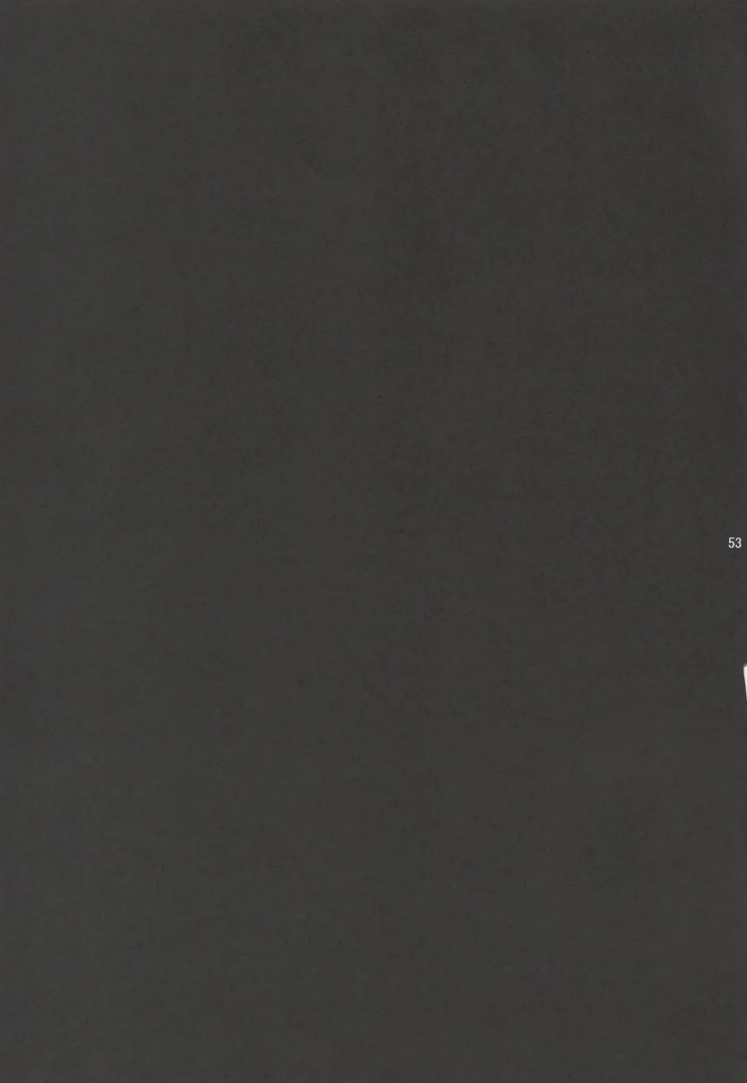 [Rit.] BLACK ARISU Fhentai - Page 52