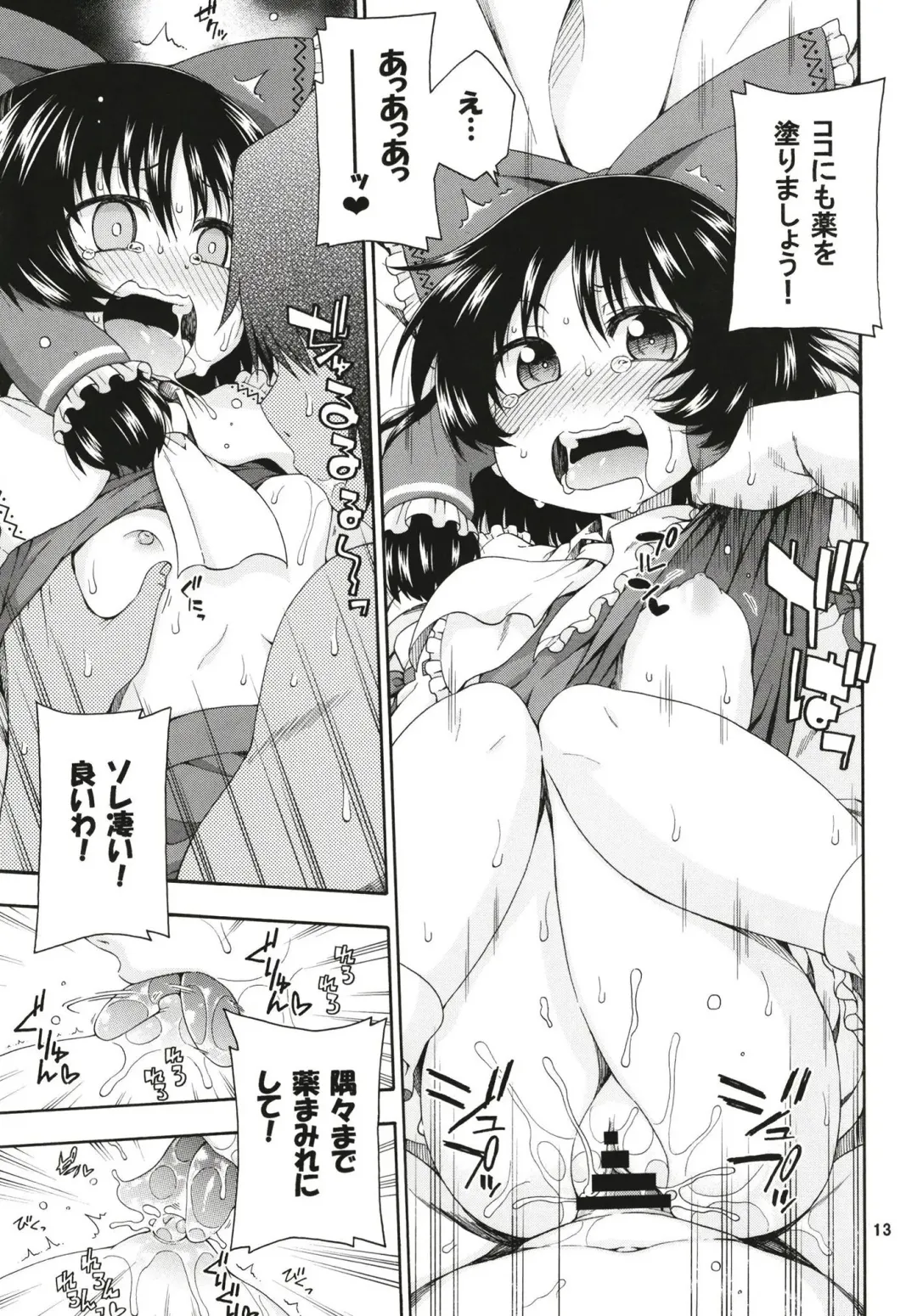 [Hanya] Touhou Meiko ~Reimu Hen~ Fhentai - Page 12