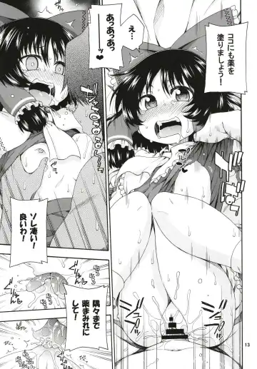 [Hanya] Touhou Meiko ~Reimu Hen~ Fhentai - Page 12