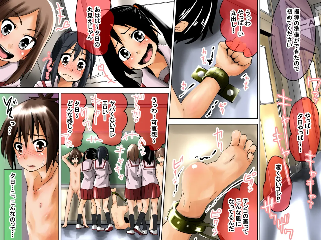 [Tokuni Mirashichi] Danshi Dorei Program Fhentai - Page 35