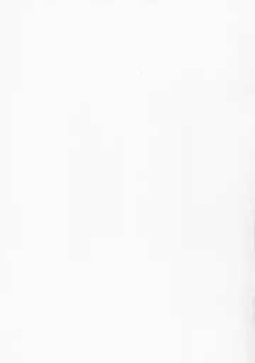 [Equal] Chibikonumu Fhentai - Page 11