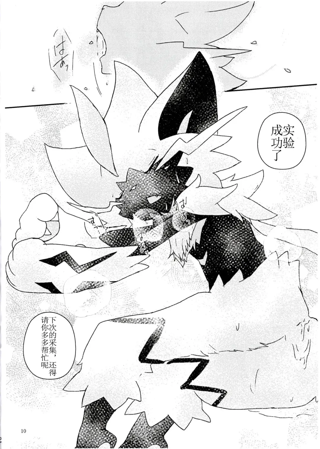 [Shiro] Toppatu File #ZERAORA Toppatsu Zeraora Hon Fhentai - Page 10