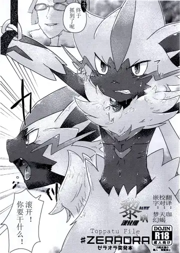 Read [Shiro] Toppatu File #ZERAORA Toppatsu Zeraora Hon - Fhentai