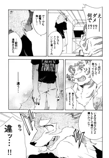 [Kibayashi Oji] Gin Iro no Tetsu Fhentai - Page 13